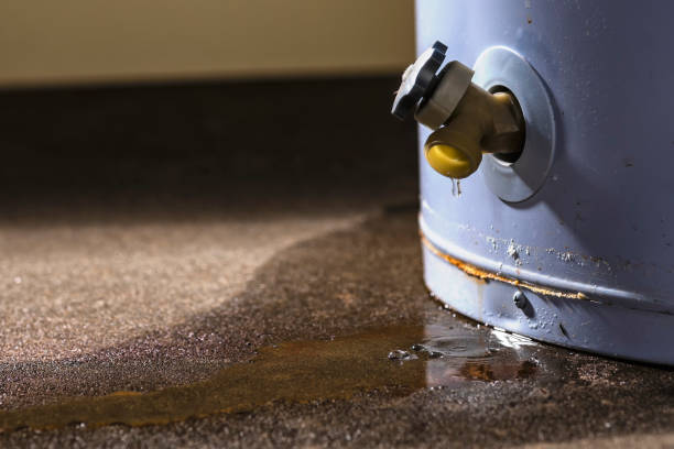 Best Basement water damage restoration  in Mendon, UT