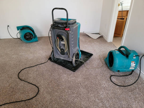 Best Water damage restoration near me  in Mendon, UT