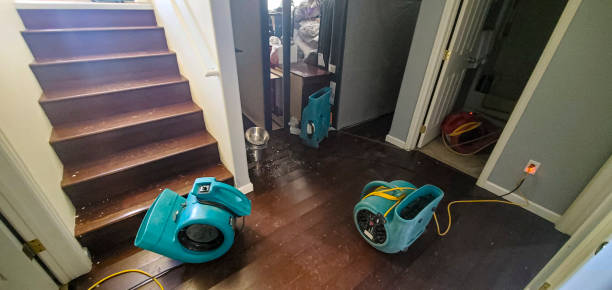 Best Mold removal after water damage  in Mendon, UT