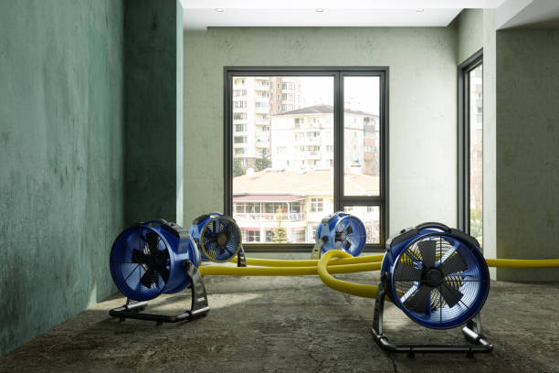Best Professional water damage repair  in Mendon, UT